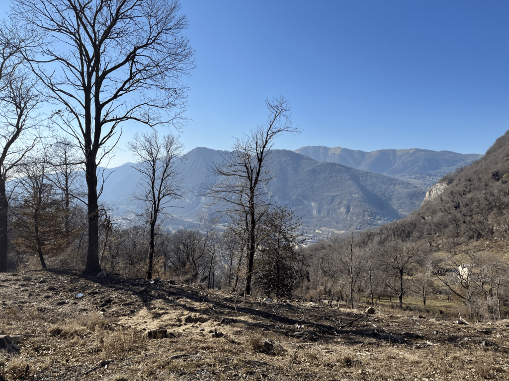 vista di Canzo dalla mulattiera
